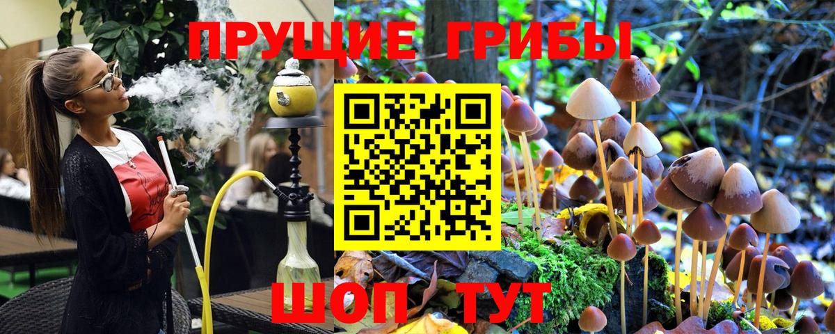 Псилоцибиновые грибы ЛСД  Вход с VPN  Карпинск 