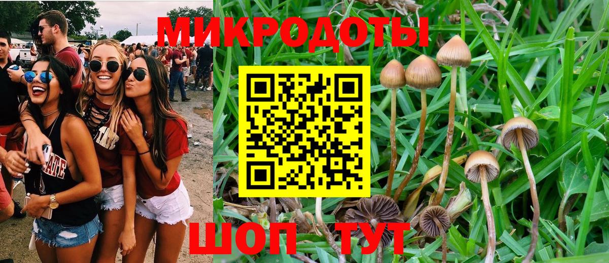 Псилоцибиновые грибы мицелий Карпинск